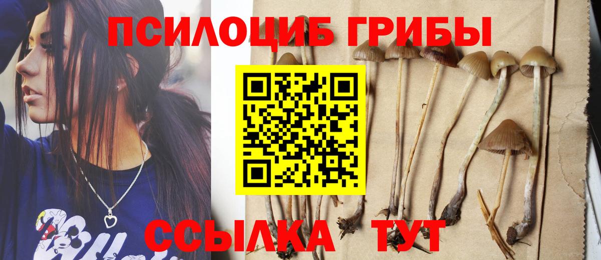 Псилоцибиновые грибы GOLDEN TEACHER  Вход с VPN  Урус-Мартан  Псилоцибиновые грибы GOLDEN TEACHER 
