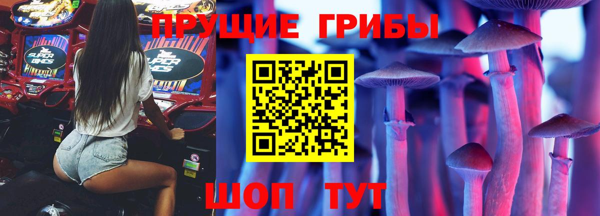 Псилоцибиновые грибы Psilocybe Урус-Мартан